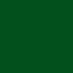Spectrum - Foliage Green G04