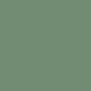 Spectrum - NEW Eucalyptus G39