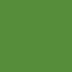 Spectrum - Grass G57
