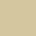Spectrum - Biscuit Q44