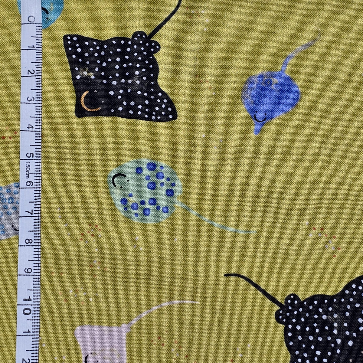 Dashwood Studio - Skates and Rays - Aquatic Paradise  - D002
