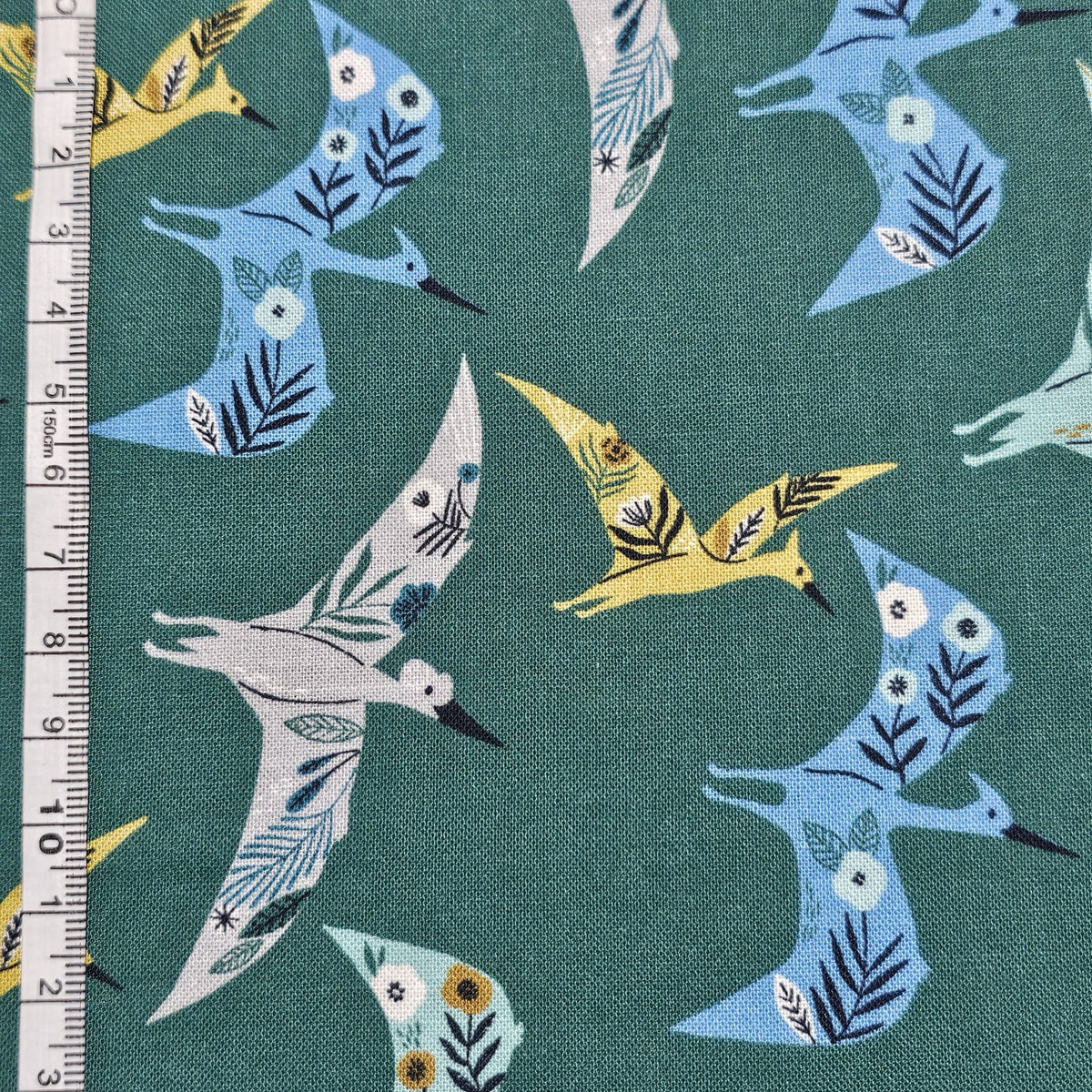 Dashwood Studio - ROAR by Bethan Janine - Dinosaurs - D010