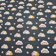 Dashwood Studio - No Rain No Flowers - D020