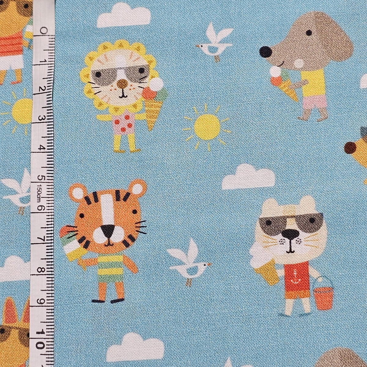 Dashwood Studio - Summer Fun by Sally Payne  - D041