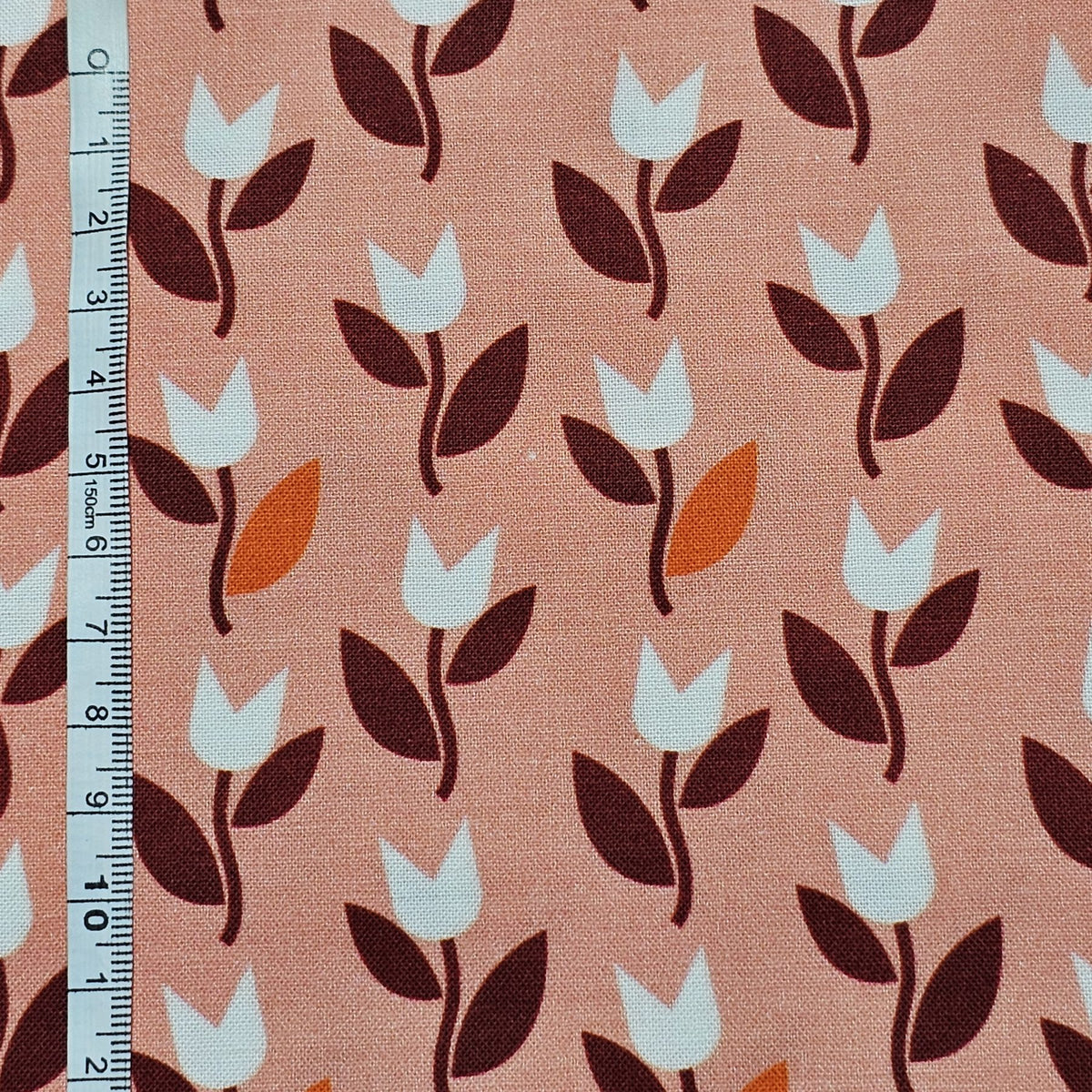 Dashwood Studio - Hello Velo by Jilly Phillips - D046