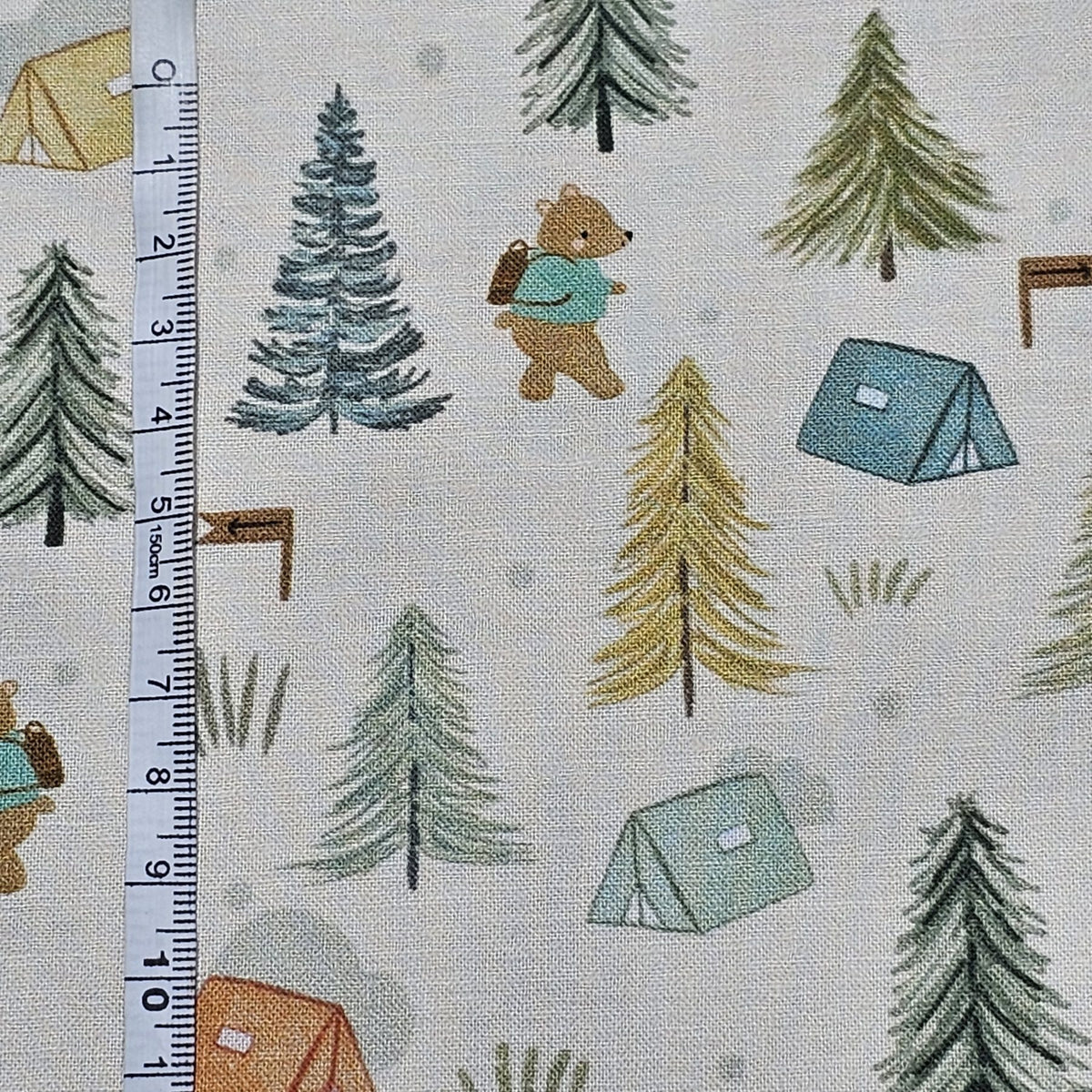 Dashwood Studio - Cedar Camp Collection by Ramble & Bramble - D048