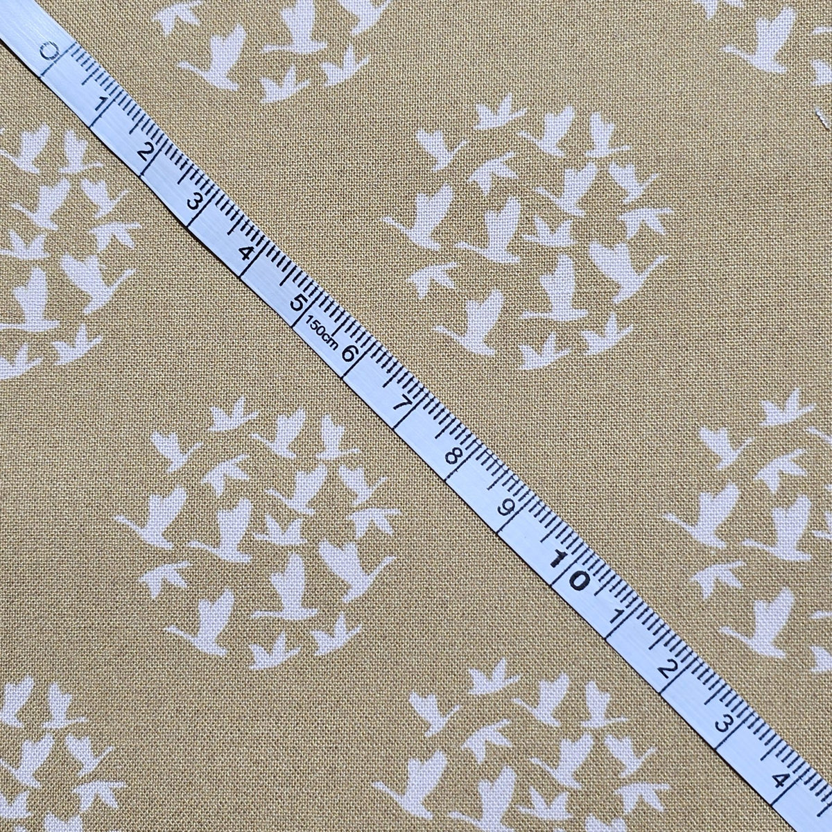 Dashwood Studio -  New Beginnings by Lisa Dolson - D049