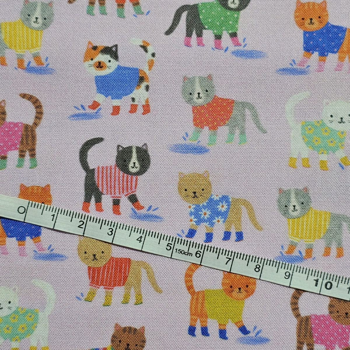 Dashwood Studio - Splash! by Kate McFarlane - D058