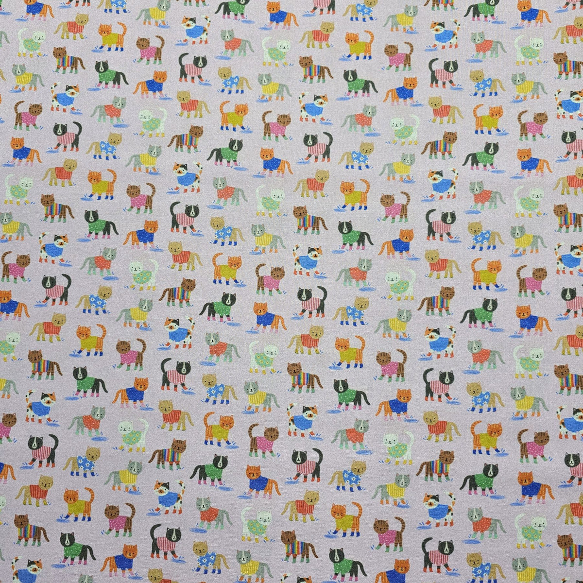 Dashwood Studio - Splash! by Kate McFarlane - D058