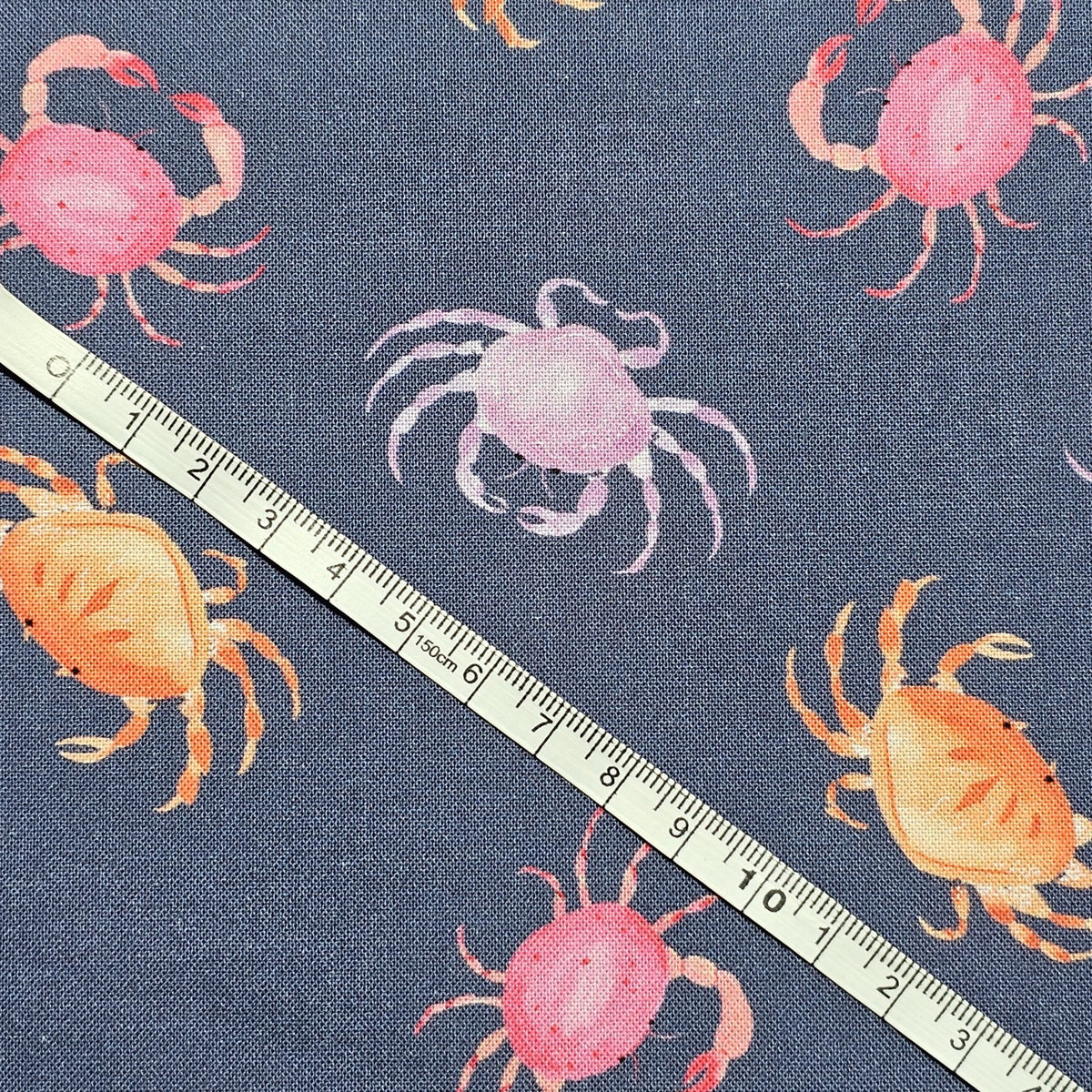 Dashwood Studio - Coral Coast by Sarah Knight - D067