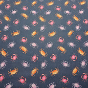 Dashwood Studio - Coral Coast by Sarah Knight - D067