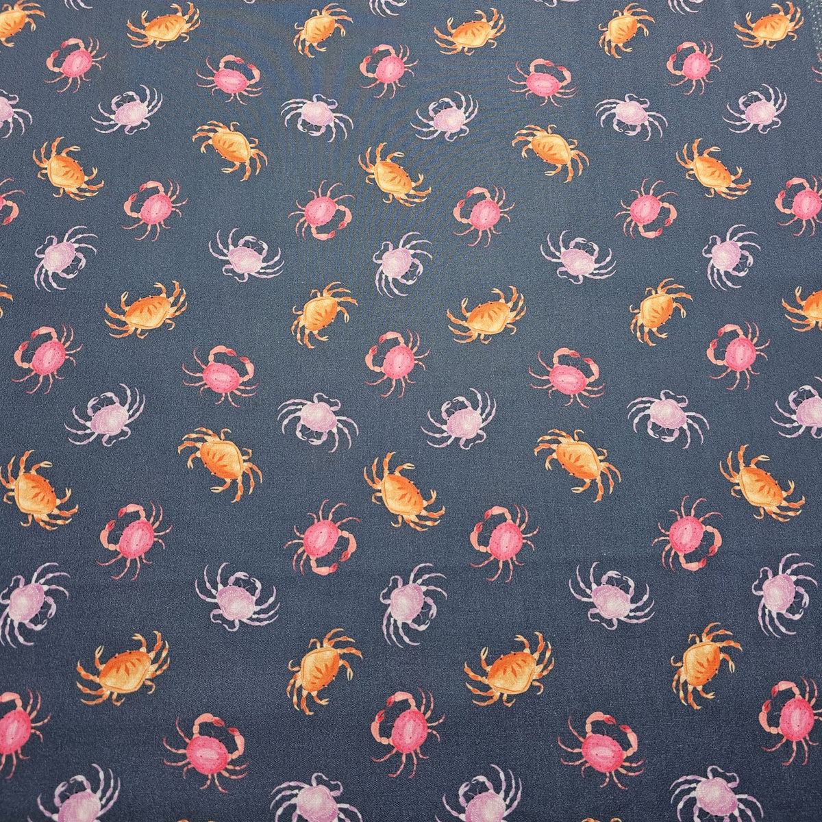 Dashwood Studio - Coral Coast by Sarah Knight - D067
