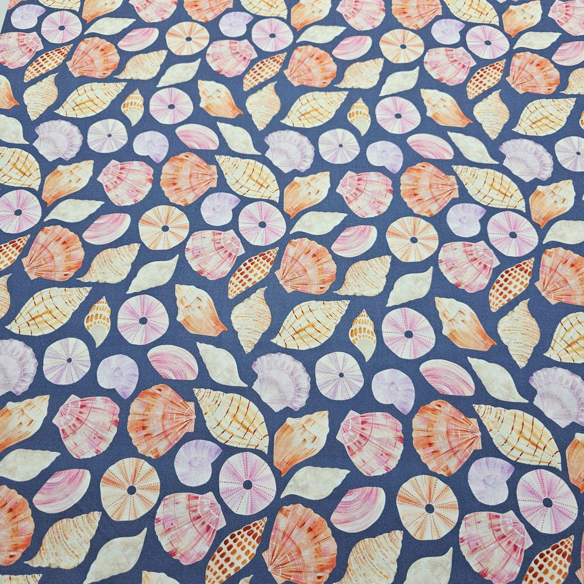 Dashwood Studio - Coral Coast by Sarah Knight - D070