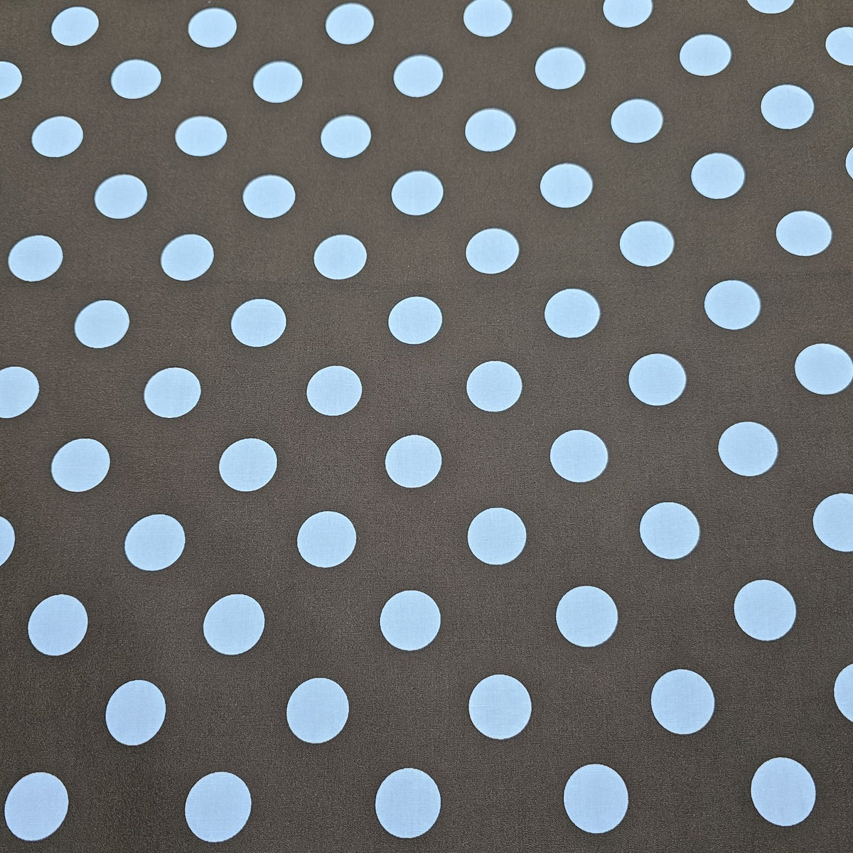Sevenberry - Brown with white dots S0049