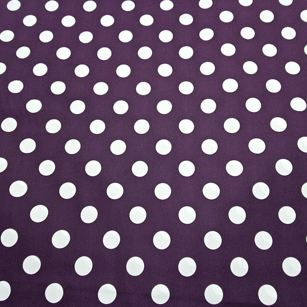 Sevenberry - Purple with white dots S0054
