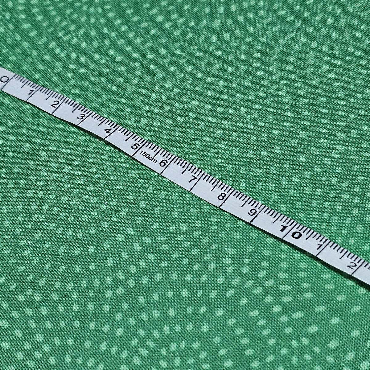 Dashwood Studio - Twist Kiwi - D078