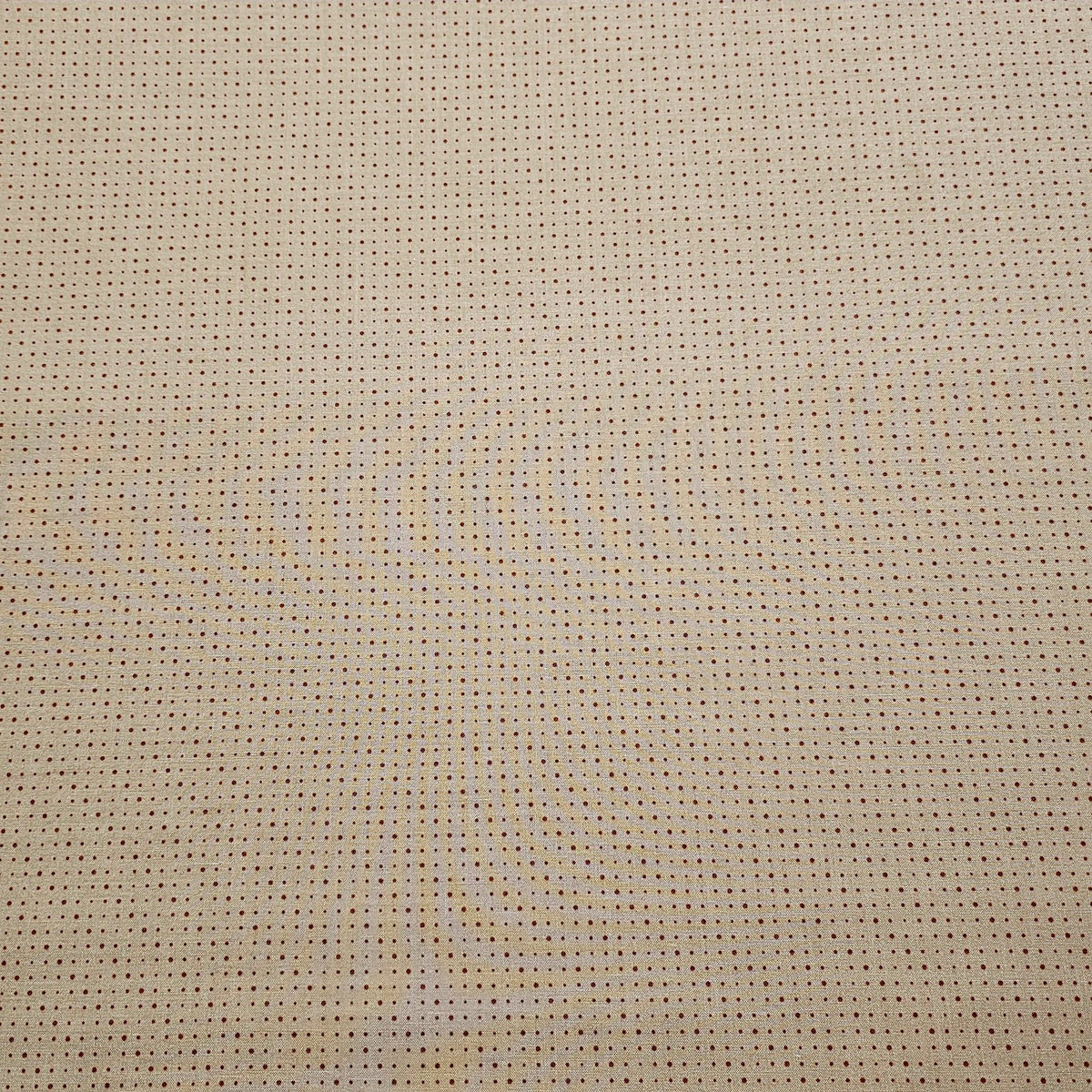 Riley Blake - Sunshine and Sweet Tea Fabric - RB009