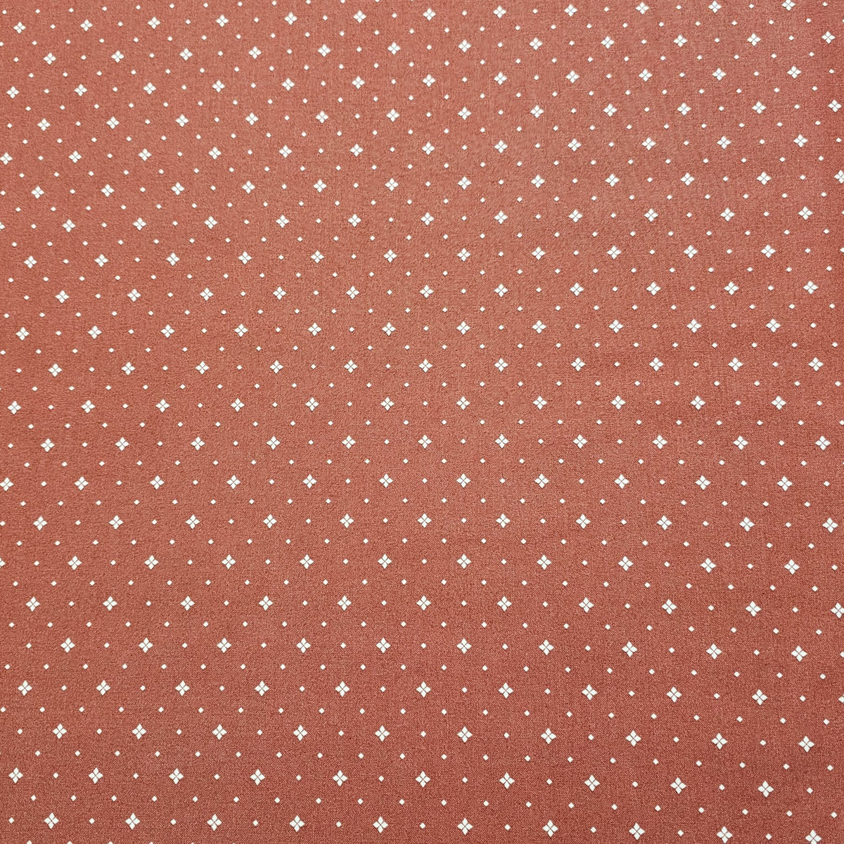 Riley Blake - Arrival Of Winter Fabric - RB018