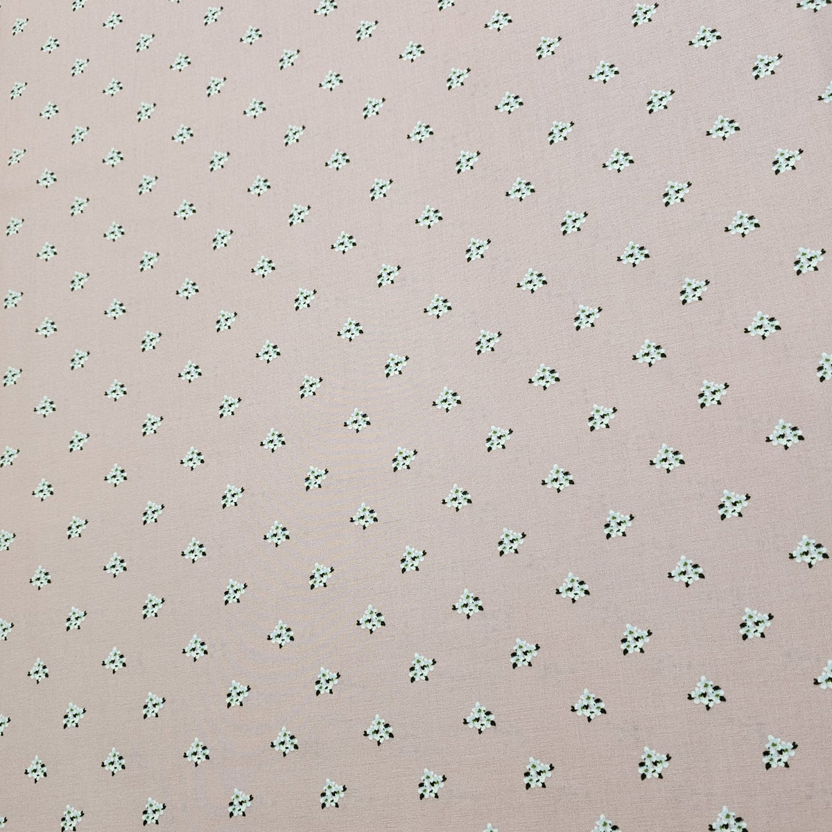Riley Blake - Bellissimo Gardens - Fabric - RB024