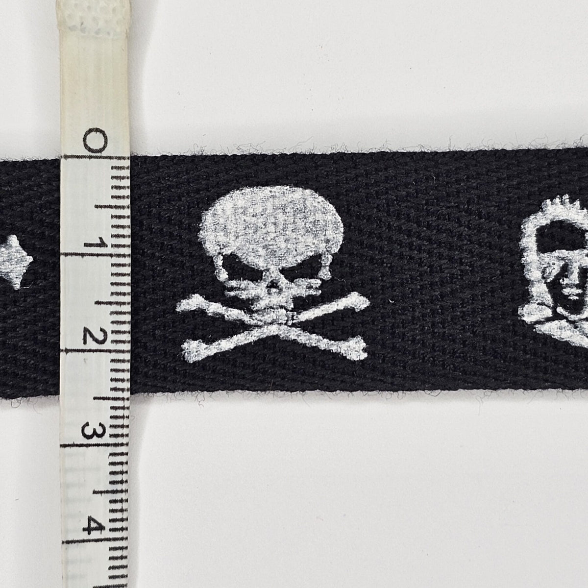 Skulls Trimmings - 3 metres - TP3007