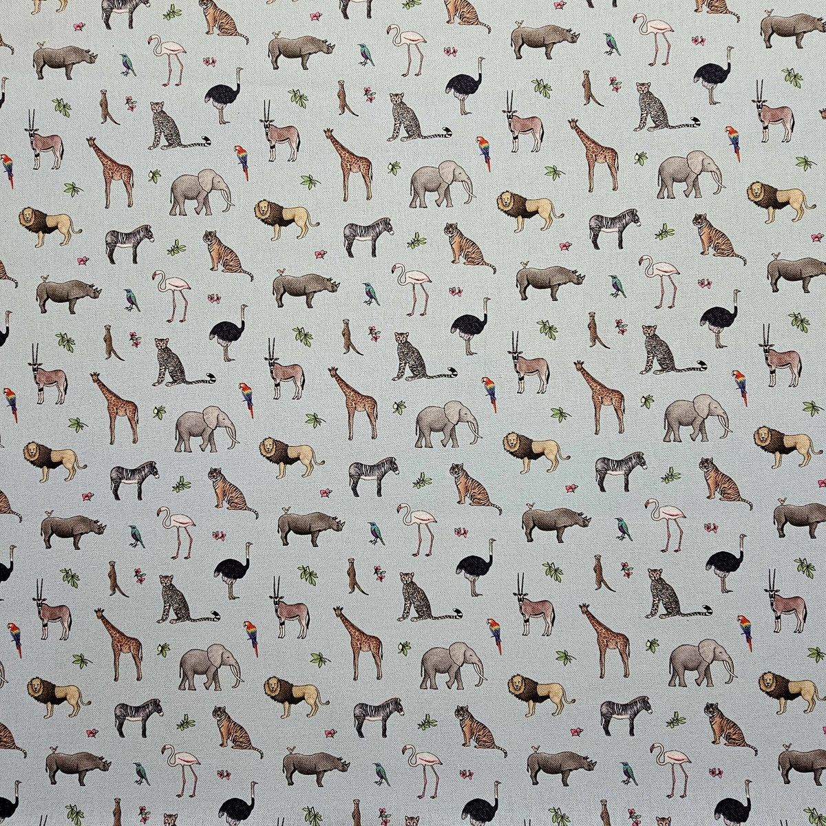 Panama 100% Cotton Fabric - Emma Lawrence Designs - Safari - CC253