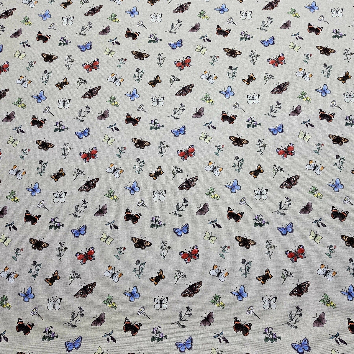 Panama 100% Cotton Fabric - Emma Lawrence Designs - Butterflies - CC254