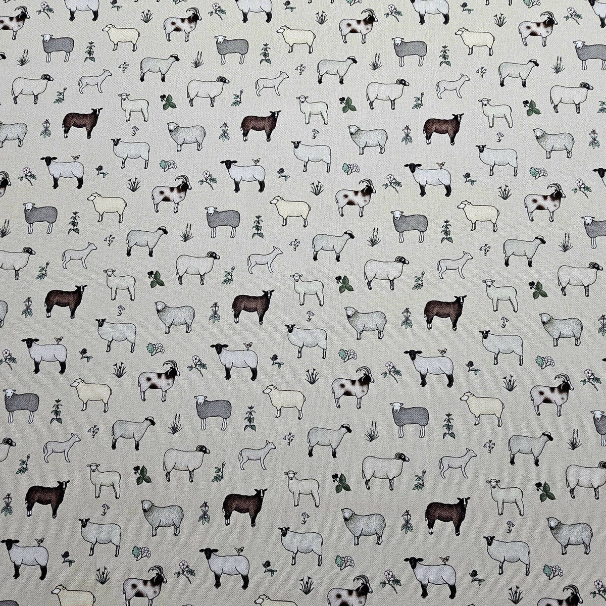 Panama 100% Cotton Fabric - Emma Lawrence Designs - Sheep - CC259
