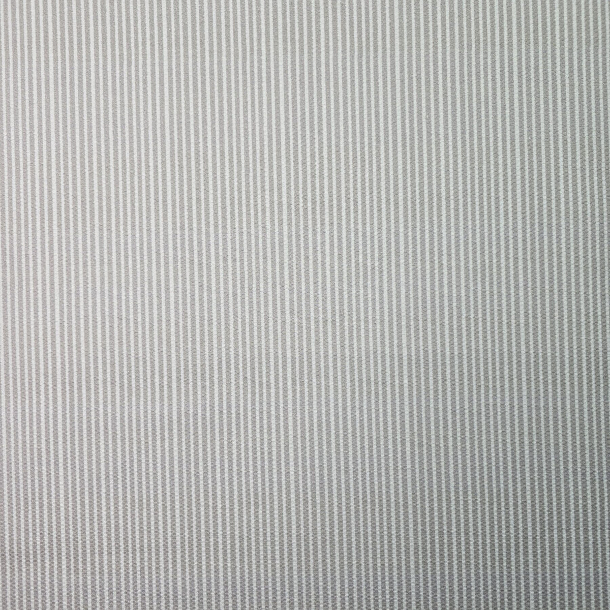 Baby Boom Fabric - CC197