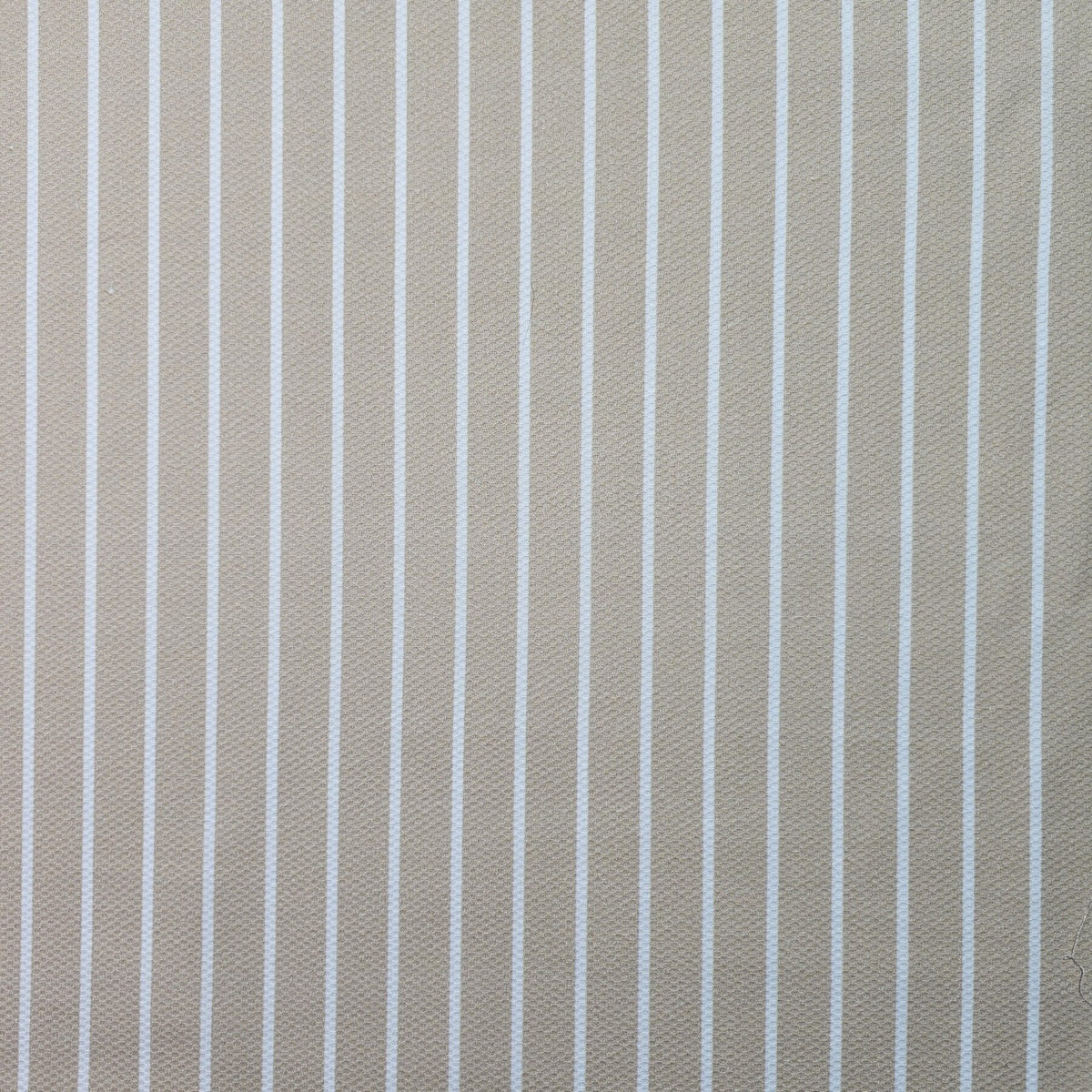 Baby Boom Fabric - CC214