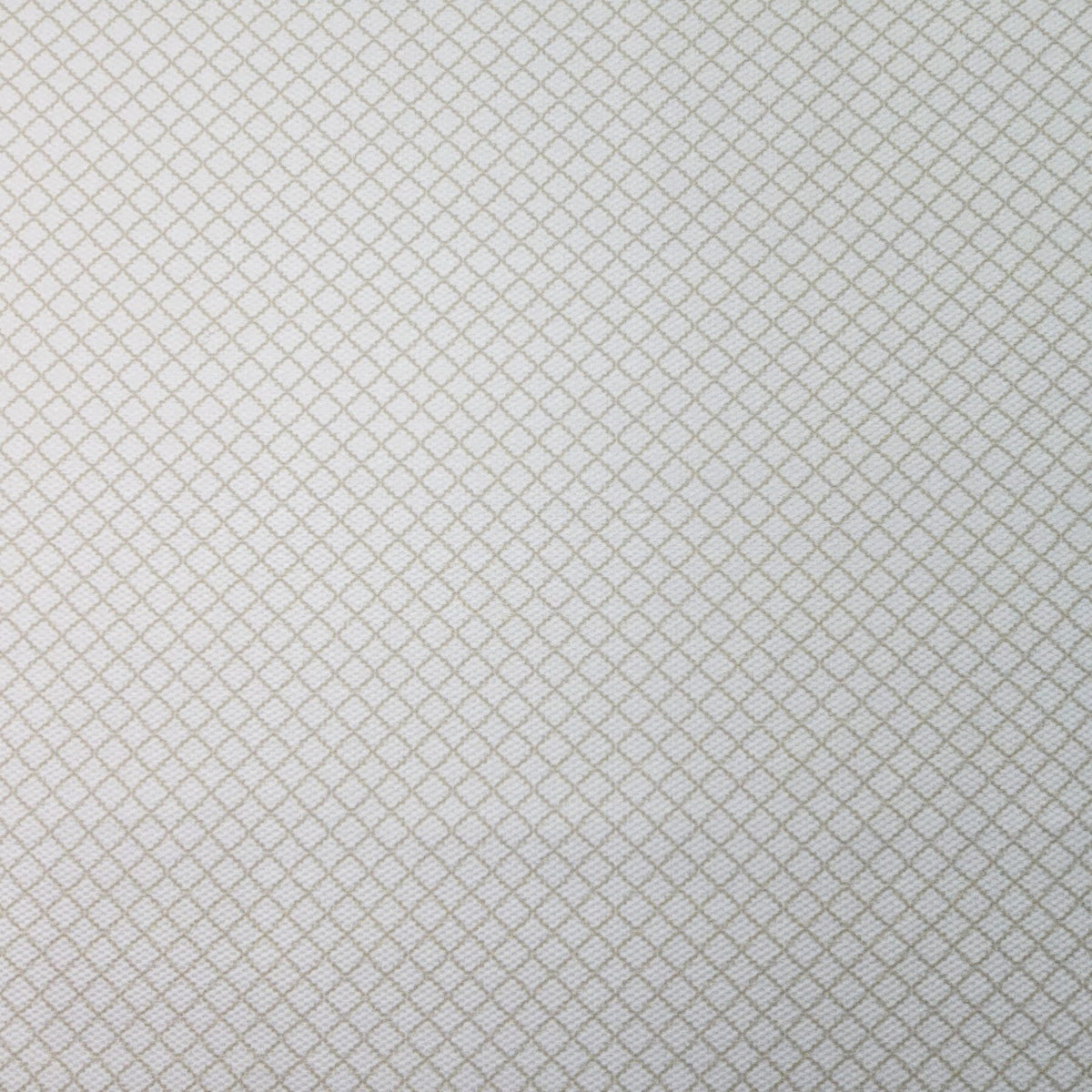Baby Boom Fabric - CC206