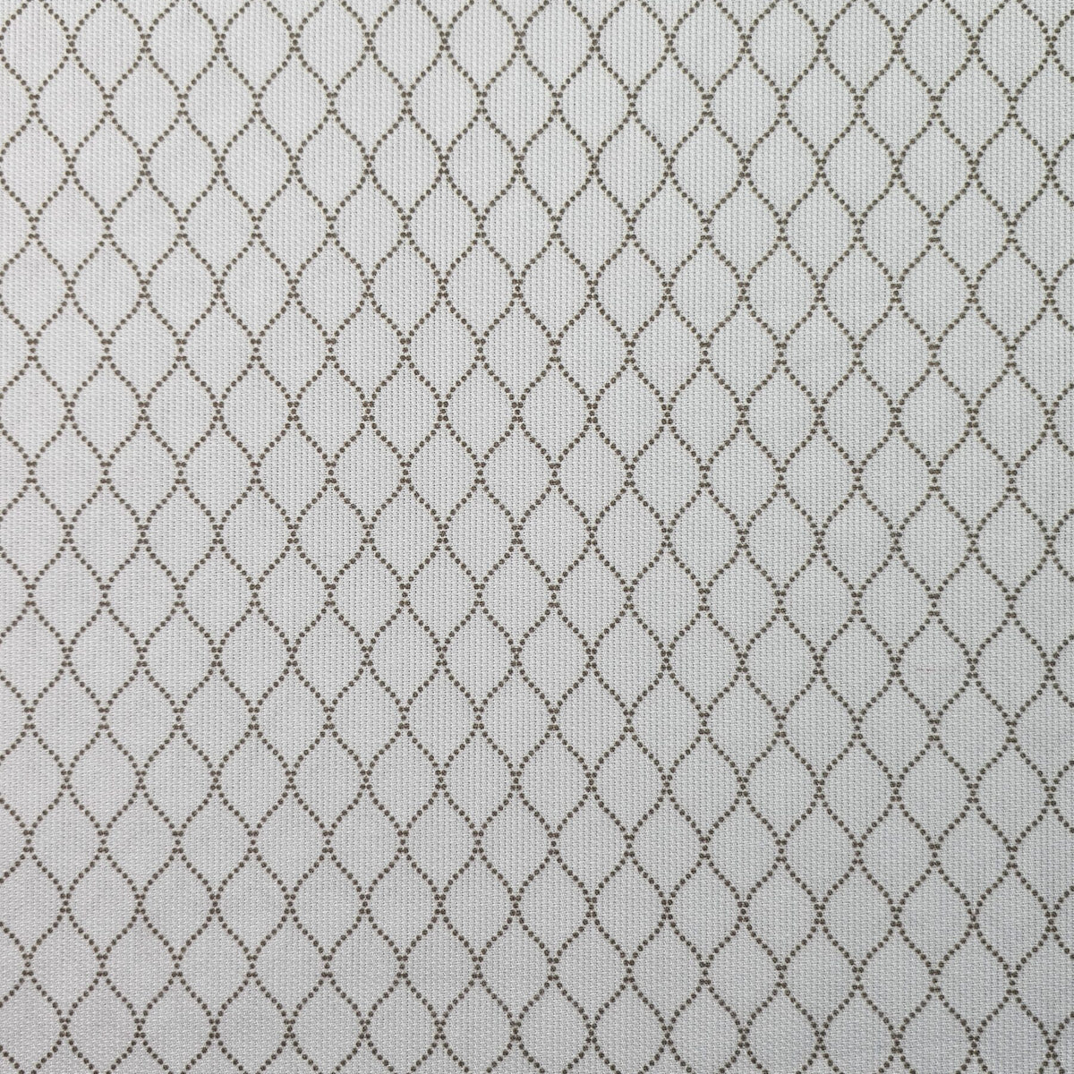 Baby Boom Fabric - CC213
