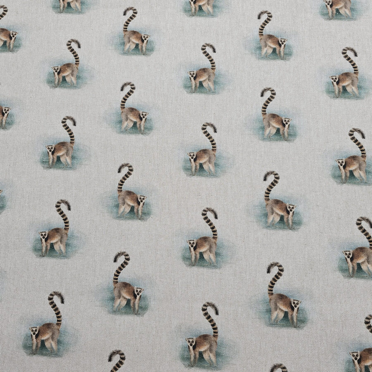 Cotton Canvas - Lemur - CC270