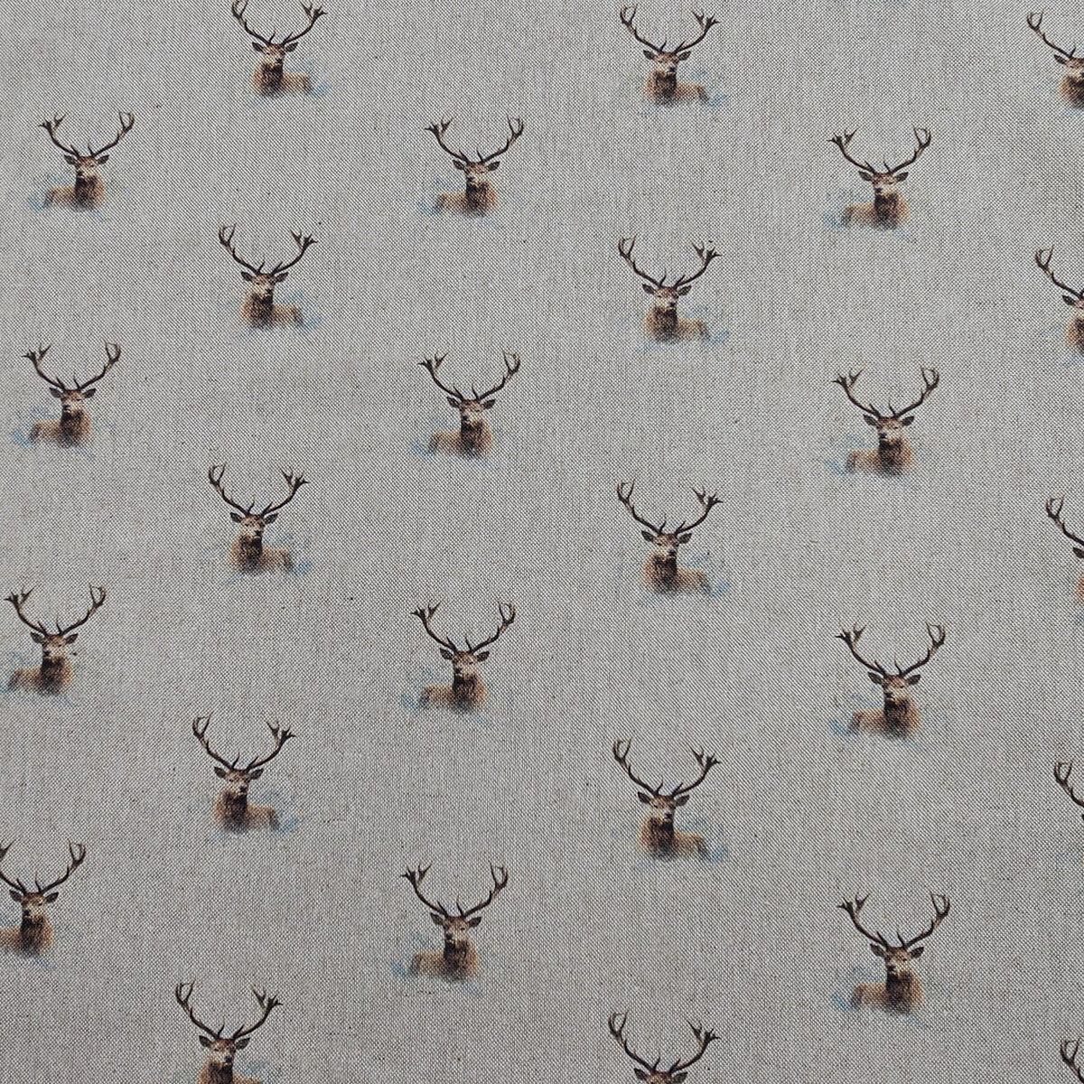 Cotton Canvas - Highland Stag - CC274