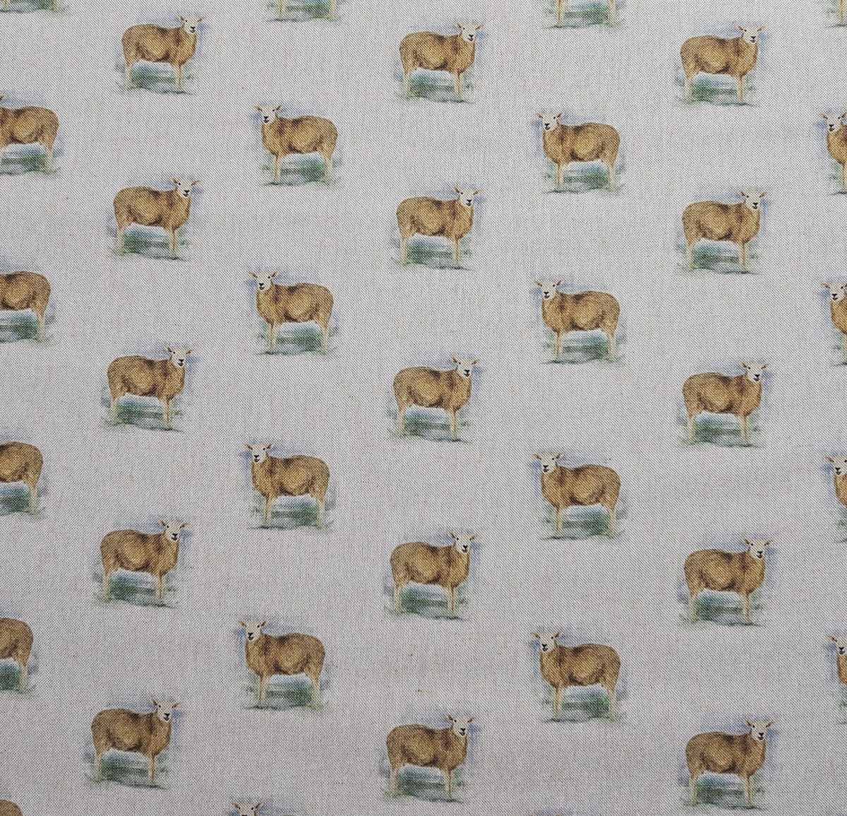 Cotton Canvas - Sheep - CC276