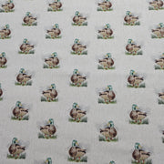 Cotton Canvas - Duck - CC278