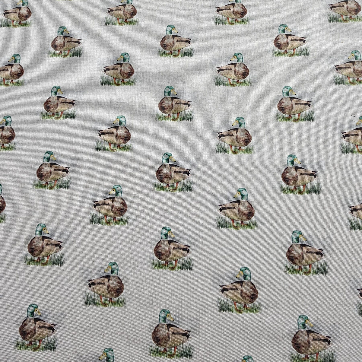 Cotton Canvas - Duck - CC278