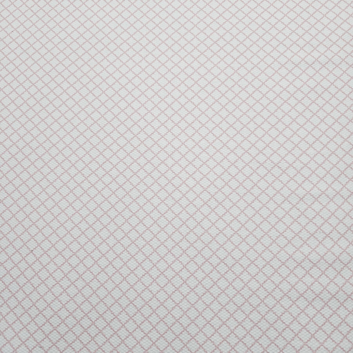 Baby Boom Fabric - CC234