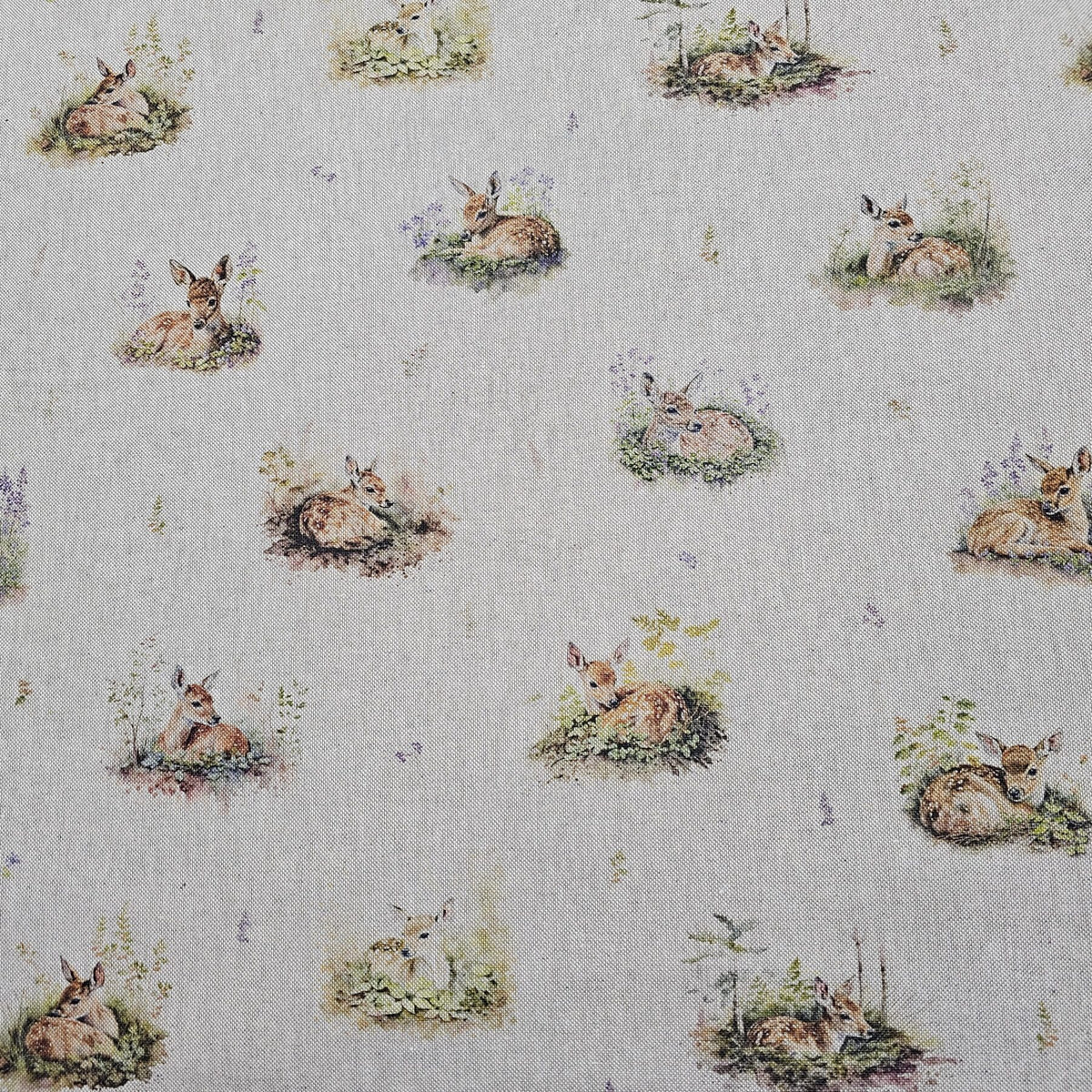 Cotton Canvas - Fawns - CC280