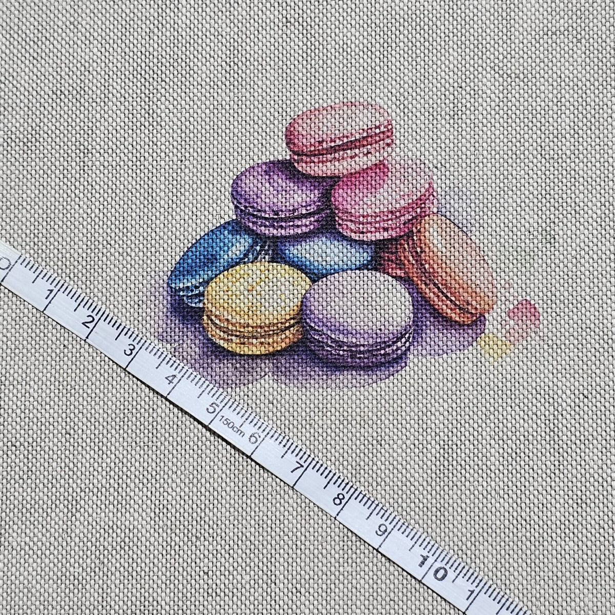 Cotton Canvas - Macaron - CC282