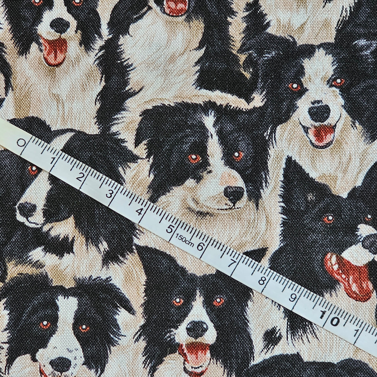 Makower - Dogs Border Collie - M214
