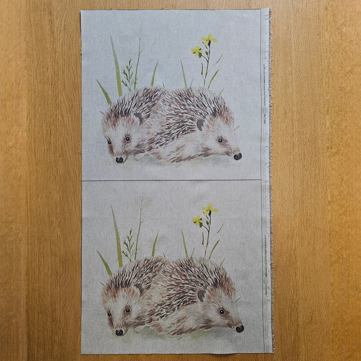 Fabric Panel - Hedgehog - Panel 16