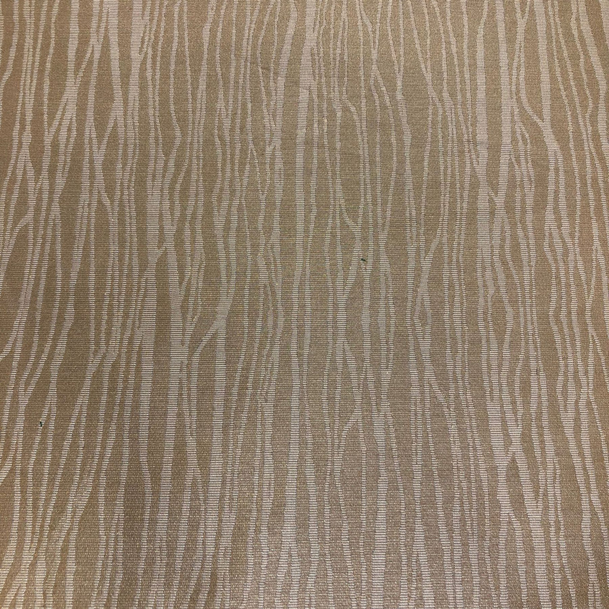 Upholstery - C005