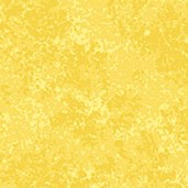 Spraytime - DAFFODIL Y82