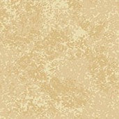 Spraytime - BARLEY Q45