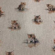 Cotton Canvas - CC041