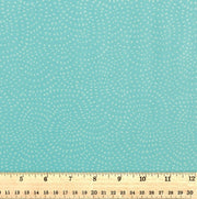 Dashwood Studio - Twist Capri- D088