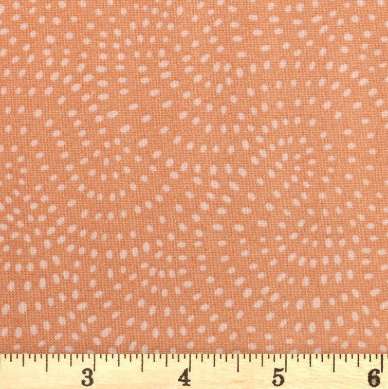 Dashwood Studio - Twist Creme - D098