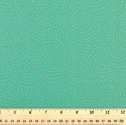 Dashwood Studio - Twist Jade - D079