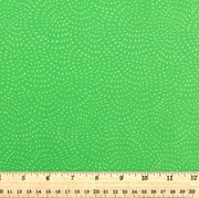 Dashwood Studio - Twist Kiwi - D078