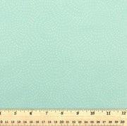 Dashwood Studio - Twist Mint - D080